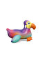 Dandy Dodo Ride On Float