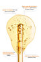 Brightening, Anti-Blemish and Skin Tone Equalizing 20% Ascorbic Acid Vitamin C Care Serum 30 ml - 2