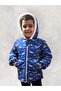 Printed Thick Fiber Inner Welsoft Wind and Waterproof Hooded Winter Children's Coat