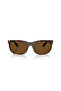نظارات شمسية مستقطبة RB 2389 902/57 57 BALORETTE - 5