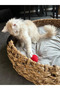 Cat Toy Ball - 3