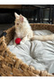Cat Toy Ball - 2