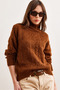 Women's Brown Turtleneck Soft Textured Knitwear Sweater Kzk- 19000892