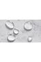 Bathroom Curtain 1X100X200 Single Wing Shower Curtain with Ring Gift 11237 - 4