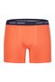Retro Boxer Classic