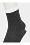 مجموعة من 5 جوارب مخططة - 5