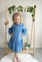 Baby Collar Front Buttoned Denim Dress - 3