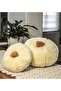 Pabtex Plush Pumpkin Throw Pillow 2-Piece Pillow, Decorate Your Home - 2