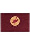 Door Mat - Modern and Stylish Door Mat |   For Home, Office, and Outdoor Use (Flami - 3