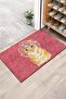 Door Mat - Modern and Stylish Door Mat |   For Home, Office, and Outdoor Use (Living Room)