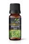Rosemary Oil - 20ml Rosemary Oil - 2