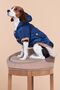 Indigo Small Breed Waterproof Dog Coat, Winter Dog Clothing - 7