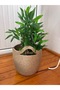 25*25 cm Straw Jute Basket - 3