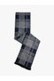 Basic Plaid Scarf