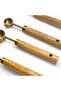Small 4-Piece Wooden Handle Gold Luxury Measuring Spoon - Spice Spoon Set - 3