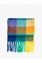 Shawl Tasseled Soft Textured Multicolored - 2