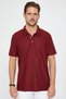 Men's Regular Fit Classic Cut 100% Cotton Jacquard Burgundy Polo Neck T-Shirt - 2