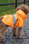 Dog Raincoat, Reflective Waterproof Dog Raincoat, Dog Apparel, Orange Dog Raincoat - 4