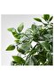 Fejka Artificial Plant, Hangable Ivy - 2