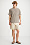 Alessandro Men's 4-Piece Organic Cotton Regular Thick Textured Crew Neck Pmb/ Grey/ Vzn/ Byz T-Shirt - 2