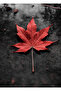 Hari̇kabi̇rev | Red-Grey Leaves Combination | Framed Glass Table 3 Pieces Vertical - 4