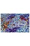 Door Front Mat - Modern and Stylish Door Mat |   For Home, Office and Outdoor Use (Pattern - 3
