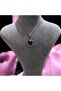 Zircon Stone Black Enameled Shield North Star Steel Necklace - 2