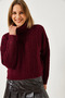 Women's Burgundy Turtleneck Patterned Knitwear Sweater 20246940 - 6