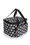 40 Lt. Thermal Camping and Picnic Food Carrying Bag, Cooler Ice Bag