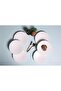 Varia Alumilite 6-Piece Flat Plate Set 21 cm - 2