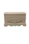 Decorative Mdf Chest - 2