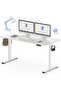 FLEXISPOT EN1 One-Piece Standing Desk 55 x 24 Inches - White Frame + White Top, 2 Packages