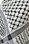 الكوفية الفلسطينية، الكوفية الفلسطينية - 3