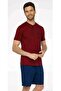 Pjalux Men's Shorts Suit 2059 - 2