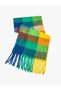 Shawl Tasseled Soft Textured Multicolored