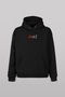 Flying Eagle Eagles Unisex Hooded Hoodie - 3