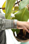 Exclusive Men's Wristwatch Steel Functions Active Premium Series - 4