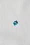 حبة زرقاء صغيرة - 2