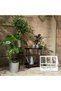 Galvanized Irrigation Container - 3