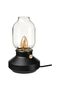 Dimmable Lampshade + 1 Light Bulb
