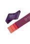 Pro Series Purple Fitness Pilates Stretch Rubber - Set of 5, Resistance Band with 7.5cm Bag