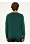 Green Men's Classic Slim Fit Sweater 1920992 Dmls - 5