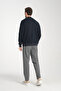 Men's Slim Fit Slim Fit Stand Collar Long Zip Solid Cardigan - 7