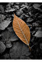 Hari̇kabi̇rev | Dark Orange-Gray Leaves Combination | Framed Glass Table 3 Pieces Vertical - 2