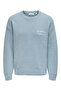 Onsgabir Rlx Ls - Jacquard Crew Knit Sweatshirt