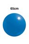Plates Ball 65cm + Pump - 2