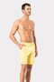 Erdem Yellow Men's Shorts 1041
