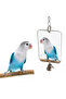 Cage Mirror Square Double-Sided Suitable for Sultan Sevda Cennet Muhabbet and Birds of Various Sizes - 3
