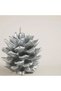 Cono Kozalak Mum Silver - 3