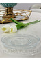 Handmade Elena 6 Pieces Glass Tea Plate (Elysi̇a Tea Bardak Compatible.) - 3